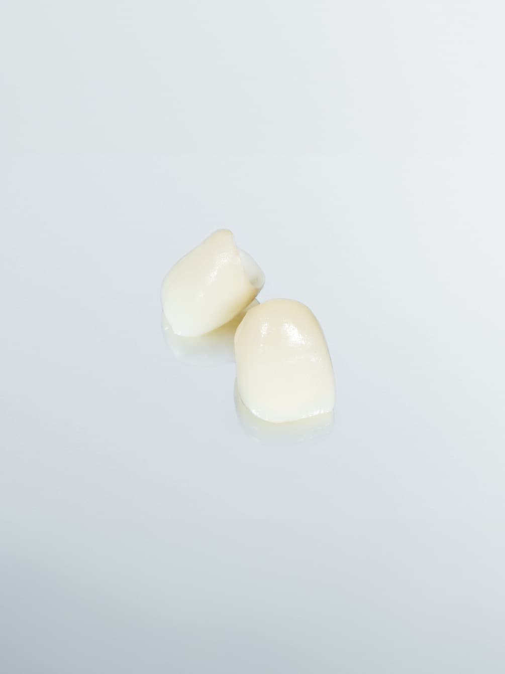 セラミック歯の模型